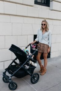 Strollers Compatible With Uppababy Mesa