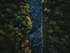 Egestas Egestas Fringilla Phasellus Faucibus Scelerisque 3 tom ohlin FeXfDfmxNmU unsplash