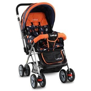 5 Year Old Stroller 10 5 Year Old Stroller