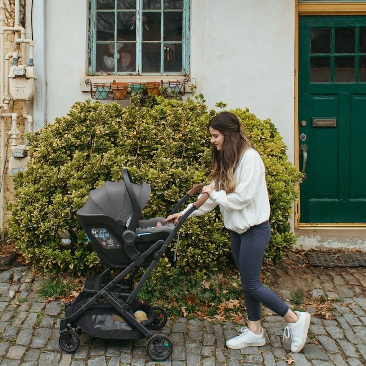 Strollers Compatible With Uppababy Mesa
