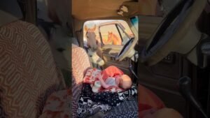 baby with horse 🎥 driftincowgirl