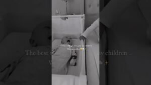 best thing 🎥 homelifebyderrion_