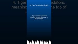 10 Fun Facts About Tigers