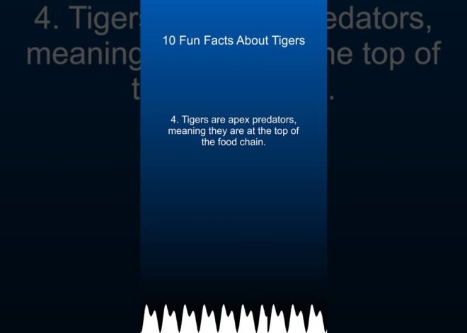 10 Fun Facts About Tigers