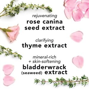 6 Top Beauty Products Reviewed and Compared 3 6 top beauty products reviewed and compared