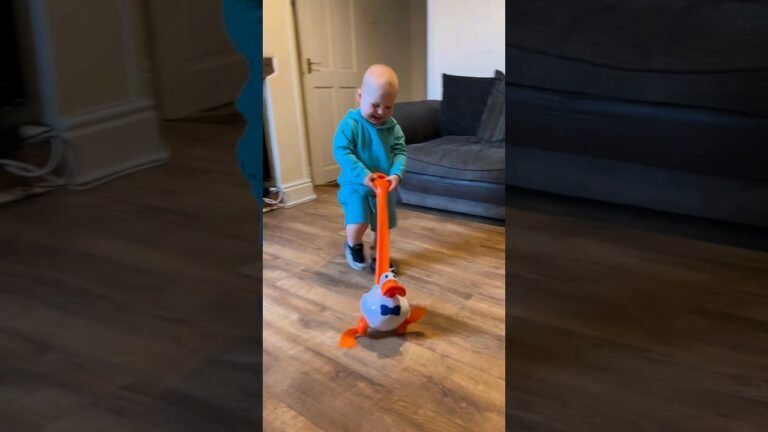 funny duck toy 🎥 olliejamesfaulds