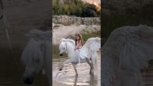 kid on a horsey unicorn 🦄 ❤️ 🎥 rita.lozhkina.photo