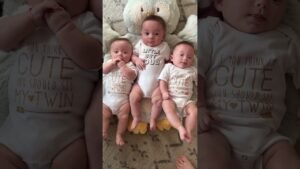 have you ever been told you are cute 🥰 🎥 triple_shatz