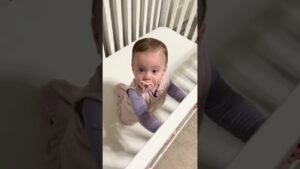 life with triplets 😅 🎥 stephkaynorman