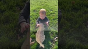 cutest life long bond 💕 🎥 pleasanthomepups