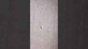 Cute little chicken 🐥 🐣 😅 🎥 elifkarakanhome