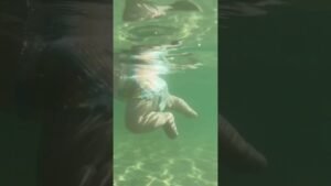 Cute little fish 🐟 🎥 nfornadiya