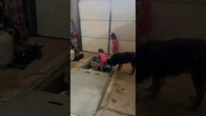 Tornado drill with triplets 🎥 stephkaynorman