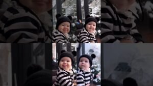 4 types of cuteness 🥰 🎥 _._ssilda