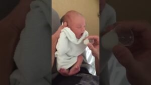 So cute 🥰 🎥 elmahalilovic