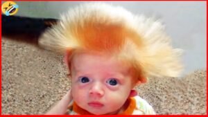 Adorable And Hilarious Baby Hairstyle Moments! Cute And Funny Baby Laughing 7 Adorable And Hilarious Baby Hairstyle Moments! Cute And Funny Baby Laughing
