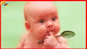 Funniest Baby Videos of the Week - Try Not To Laugh 2 Funniest Baby Videos of the Week - Try Not To Laugh