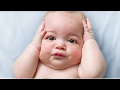 Funniest Baby Videos of the Week - Try Not To Laugh