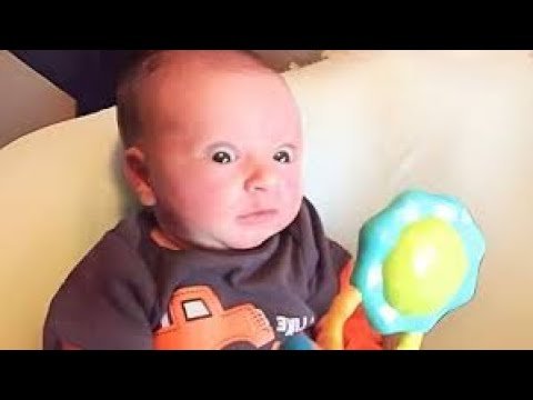 Laugh Out Loud with These Hilarious Baby Moments - Funny Baby Videos