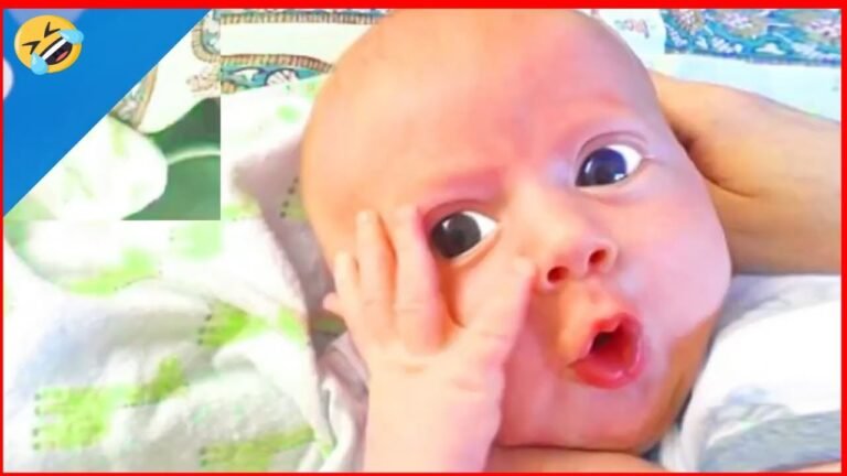 Top Hilarious Baby Moments of the Year - Funny Baby Video Compilation!