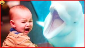 A MUST: Funniest And Cutest Baby EVER - Funny Babies Videos 7 A MUST: Funniest And Cutest Baby EVER - Funny Babies Videos