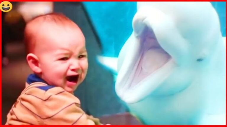 A MUST: Funniest And Cutest Baby EVER - Funny Babies Videos